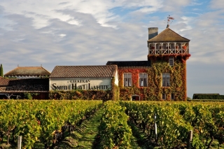 Route des vins Bordeaux Sauternes
