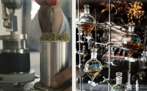 Fueguia 1833: The Rare Alchemy of Limited-Edition Perfumes, Tested