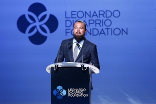 leonardo gala