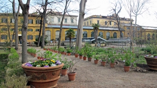 Il Giardino dei Semplici