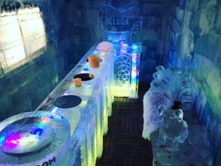 Arctic Room