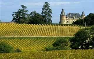 Route des vins Bordeaux Sauternes