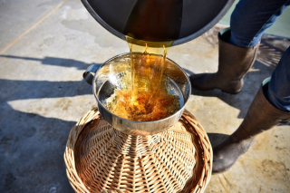 Cognac Camus « Sous les Mers » filtré après son immersion dans l’Atlantique.