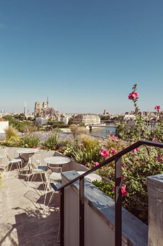 Rooftop parisien ensoleillé, bordé de fleurs roses et de plantes végétales, avec une vue dégagée sur la Seine et la cathédrale Notre-Dame en arrière-plan.